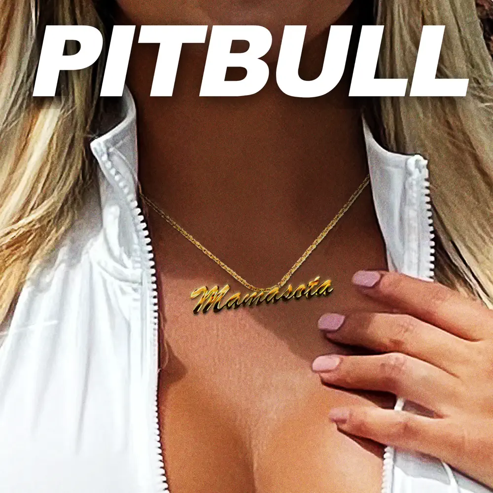 Pitbull – Mamasota – Single [iTunes Plus M4A]