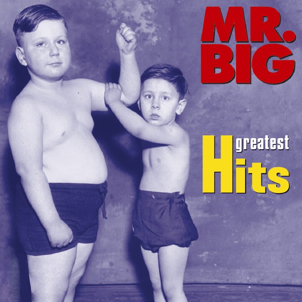 Mr. Big – Greatest Hits [iTunes Plus AAC M4A]