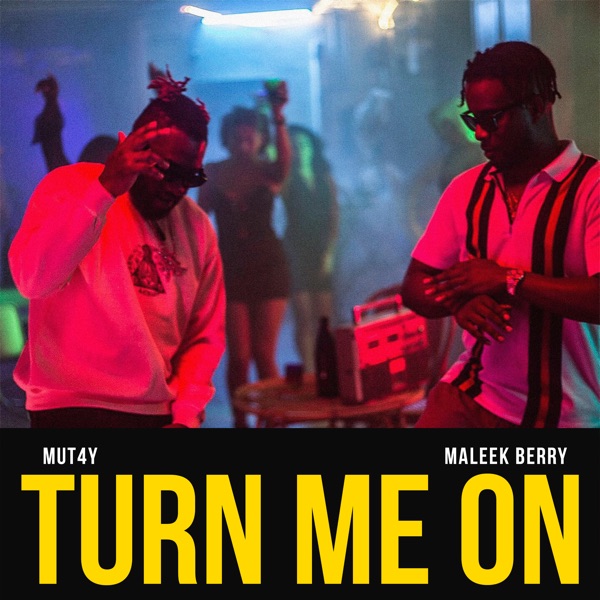 Mut4y & Maleek Berry – Turn Me On – Single [iTunes Plus M4A]