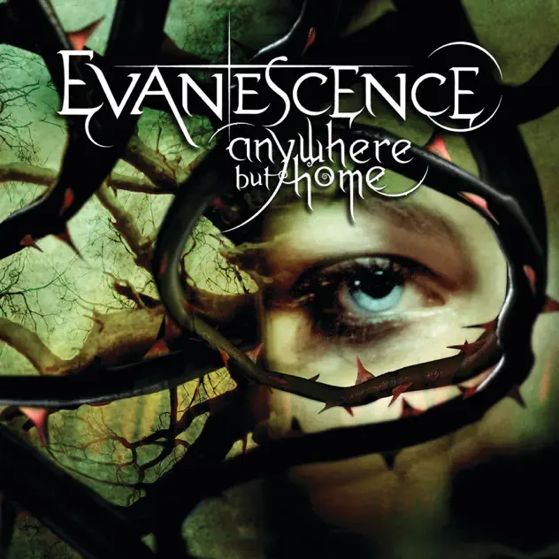 Evanescence – Anywhere but Home (Live) [iTunes Plus AAC M4A]