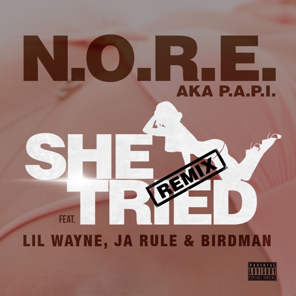 N.O.R.E. – She Tried (Remix) [feat. Lil Wayne, Ja Rule & Birdman] – Single [iTunes Plus AAC M4A]