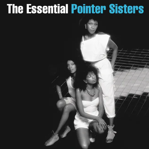 The Pointer Sisters – The Essential Pointer Sisters [iTunes Plus AAC M4A]