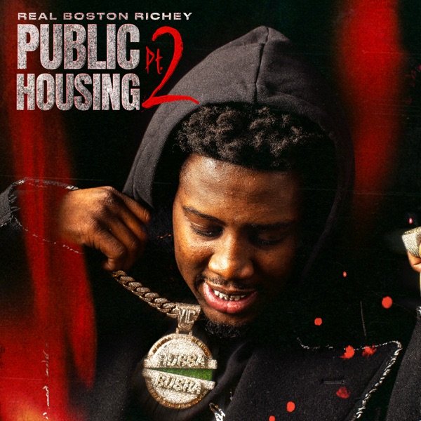 Real Boston Richey – Public Housing, Pt. 2 [iTunes Plus AAC M4A]