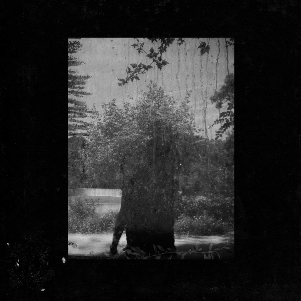 Grouper – Ruins [iTunes Plus AAC M4A]