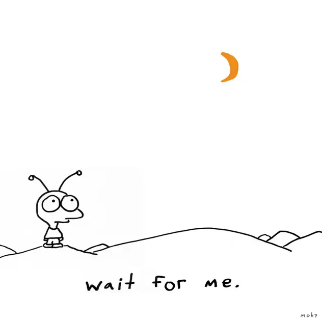 Moby – Wait for Me (Bonus Track Version) [iTunes Plus AAC M4A]