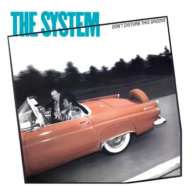 The System – Don’t Disturb This Groove [iTunes Plus AAC M4A]