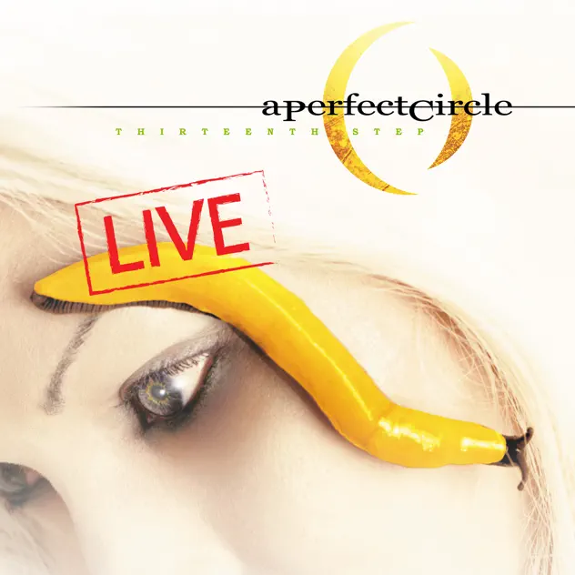 A Perfect Circle – Thirteenth Step – Live [iTunes Plus AAC M4A]