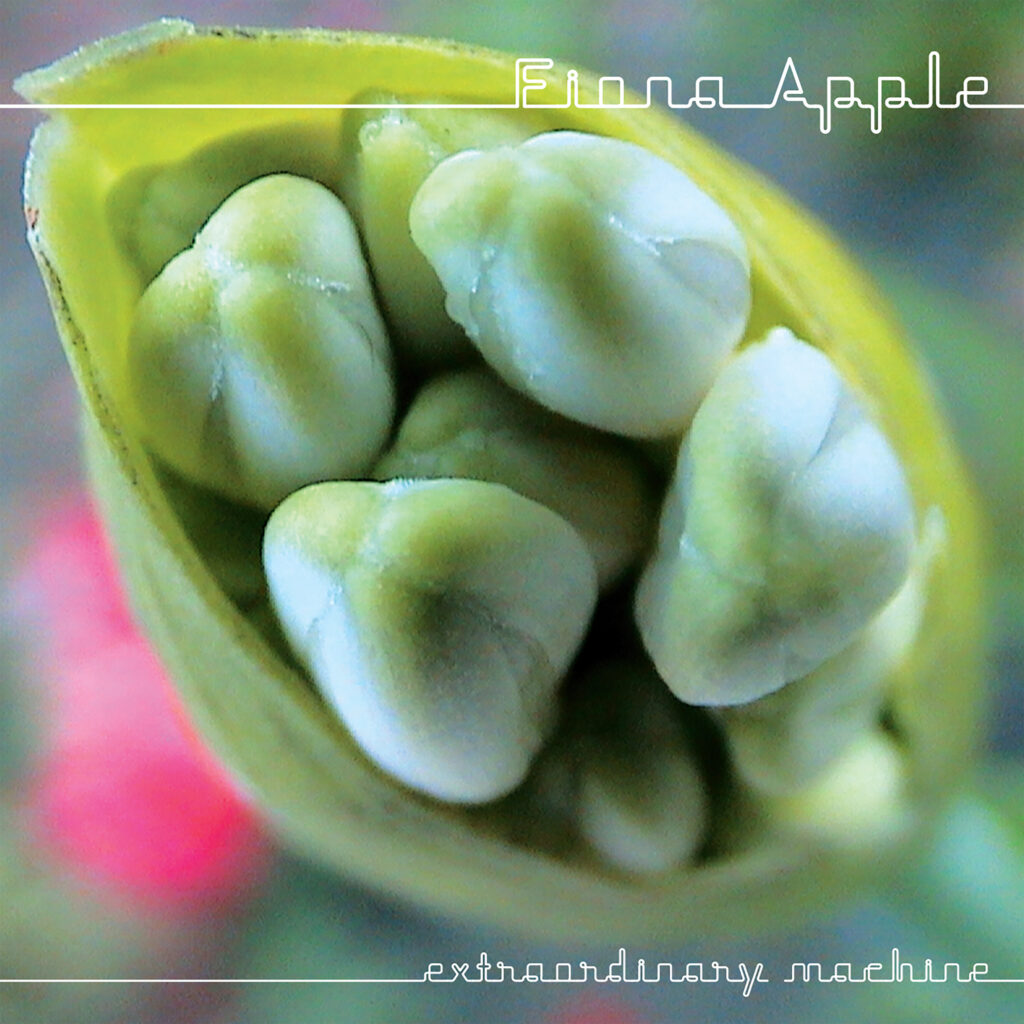 Fiona Apple – Extraordinary Machine [iTunes Plus AAC M4A]