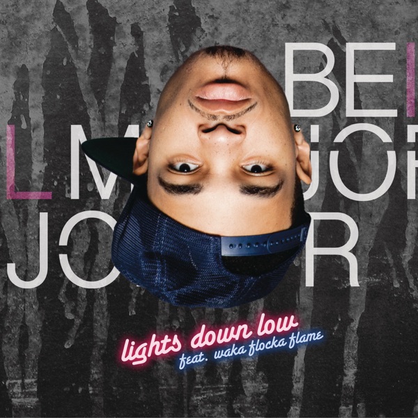 Maejor – Lights Down Low (feat. Waka Flocka Flame) – Single [iTunes Plus AAC M4A]
