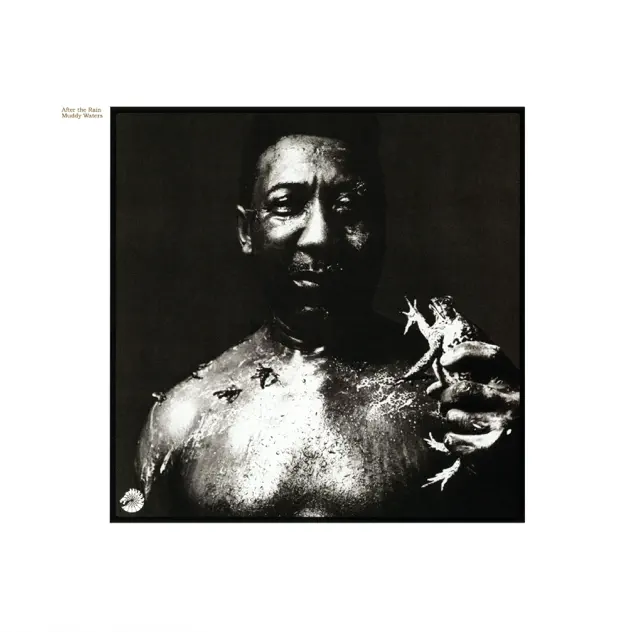 Muddy Waters – After the Rain [iTunes Plus AAC M4A]