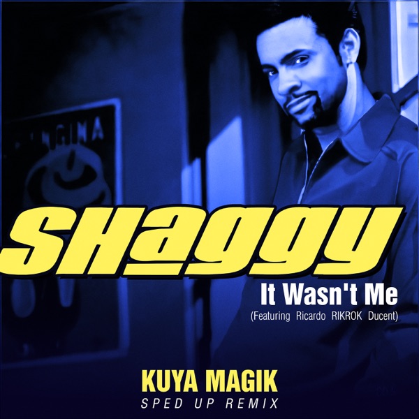 Shaggy – It Wasn’t Me (Sped Up) [feat. Ricardo Ducent] – Single [iTunes Plus AAC M4A]