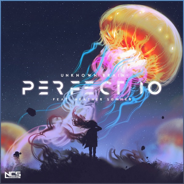 Unknown Brain – Perfect 10 (feat. Heather Sommer) – Single [iTunes Plus AAC M4A]
