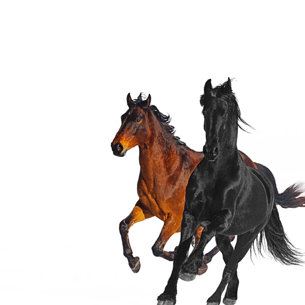 Lil Nas X – Old Town Road (feat. Billy Ray Cyrus) [Remix] – Single [iTunes Plus AAC M4A]