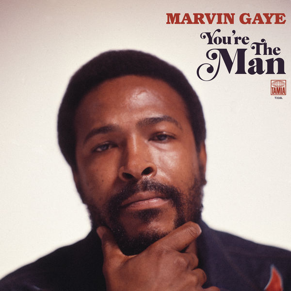 Marvin Gaye – You’re the Man [iTunes Plus AAC M4A]