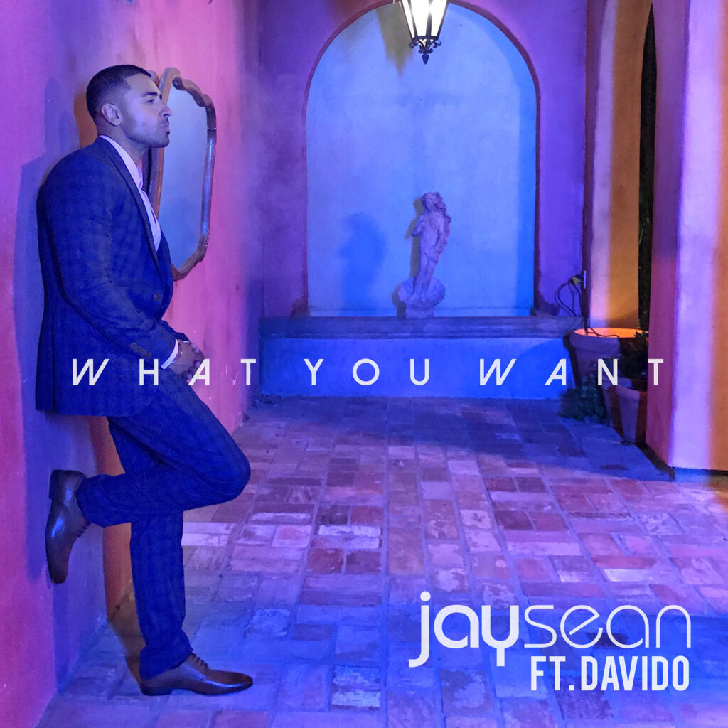 Jay Sean & Davido – What You Want – Single [iTunes Plus M4A]