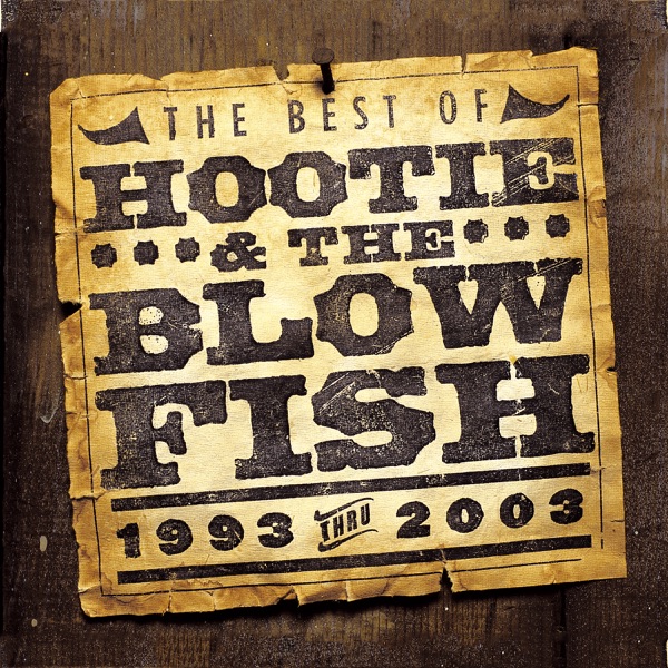 Hootie & The Blowfish – The Best of Hootie & The Blowfish (1993-2003) [iTunes Plus AAC M4A]