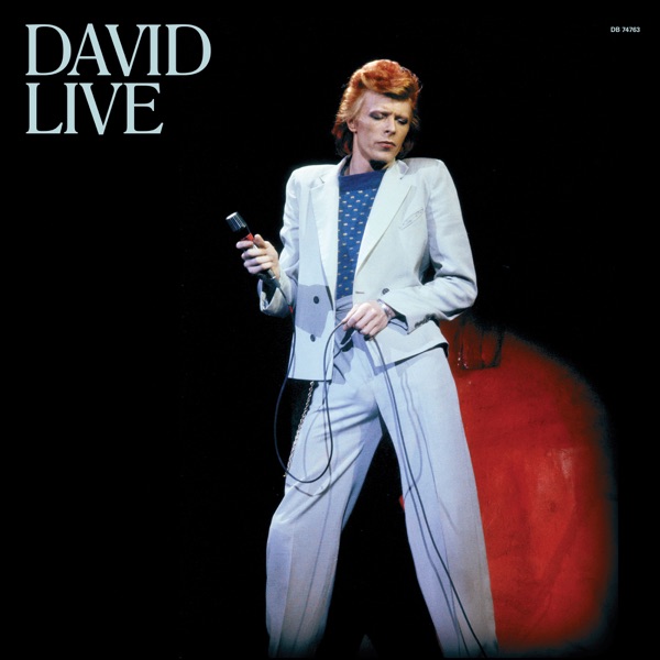 David Bowie – David Live (2005 Mix) [Remastered Version] [Apple Digital Master] [iTunes Plus AAC M4A]