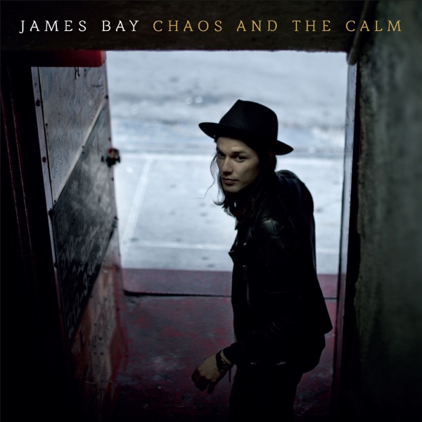 James Bay – Chaos and the Calm (Deluxe Version) [Apple Digital Master] [iTunes Plus AAC M4A]