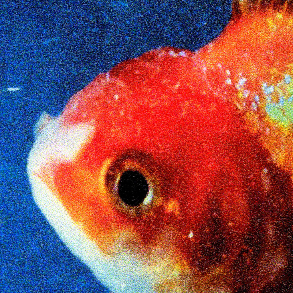 Vince Staples – Big Fish Theory (Apple Digital Master) [Explicit] [iTunes Plus AAC M4A]