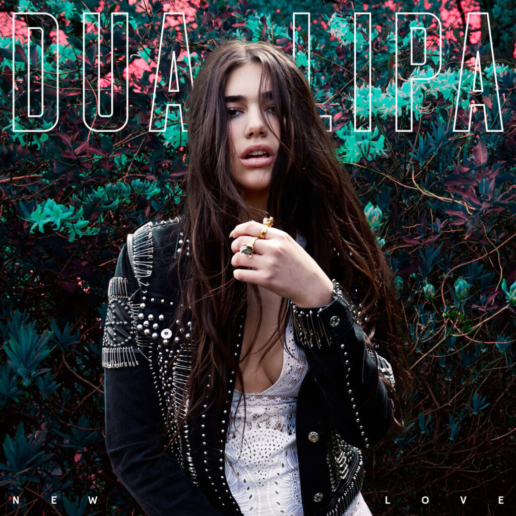 Dua Lipa – New Love – Single [iTunes Plus AAC M4A]